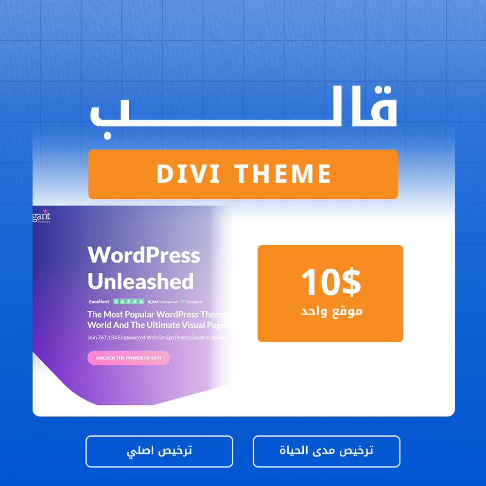 divi theme